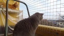 Dneska ráno na balkoně.