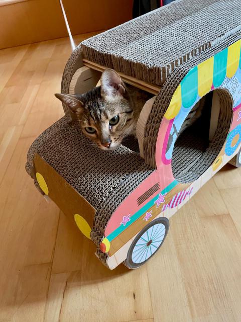 ��kal n�kdo, �e chce sv�zt?