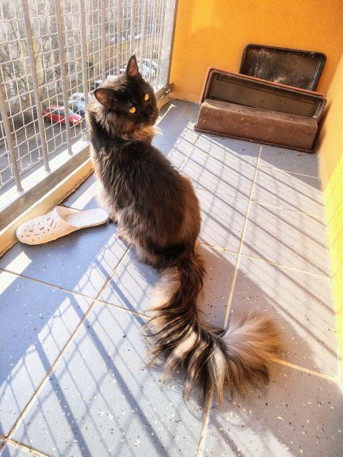 To je dost, �es n�s taky pustila ven!