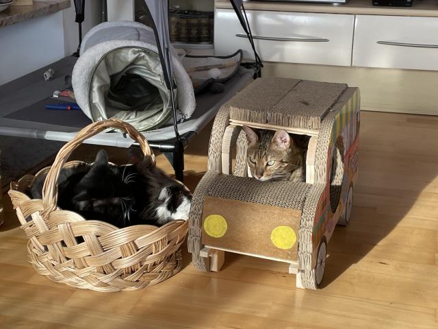 Pohodov� odpoledne ☺