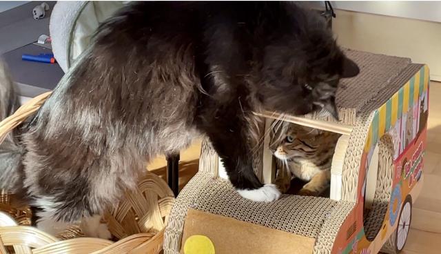 �olino, vyst�el!!! To auto nen� jen Tvoje!!!