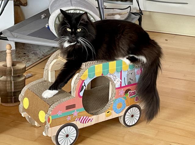 Dneska sem tu punt�katou m�ru nepust�m!!!