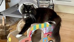 Dneska sem tu puntíkatou můru nepustím!!!