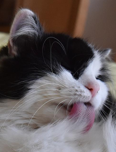 3/3 Se teda rad�i umeju, by m� taky mohli z t� postele vyhodit...