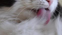 3/3 Se teda rad�i umeju, by m� taky mohli z t� postele vyhodit...