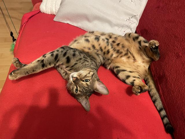 To j� u� jsem umyt� a te� bych cht�la podrbat😹