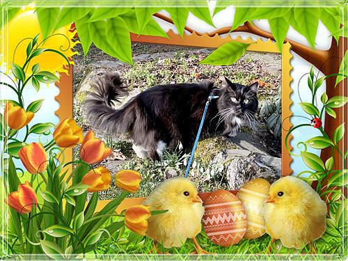 Hezk� velikonoce 🐣 🍀