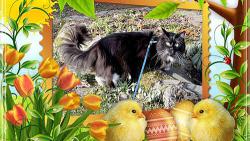 Hezk� velikonoce 🐣 🍀