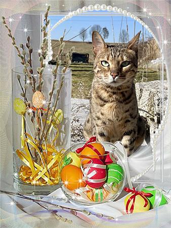 U�ijte si kr�sn� Velikono�n� sv�tky 🐣🍀