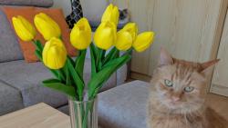 Vesel� Velikonoce 🙂