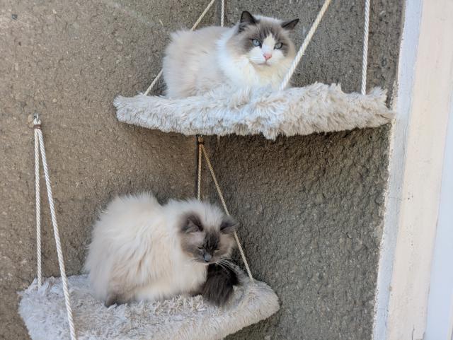 Po zim� kone�n� na balkon� 🙂