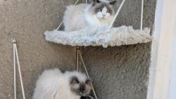 Po zim� kone�n� na balkon� 🙂