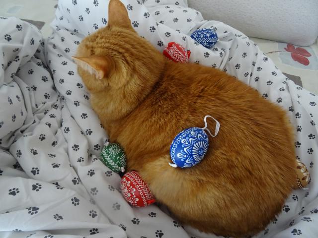 Kr�sn� velikono�n� sv�tky v�em ko�i�k�m, kocour�m a jejich dvouno�c�m p�eje Ad�mek.