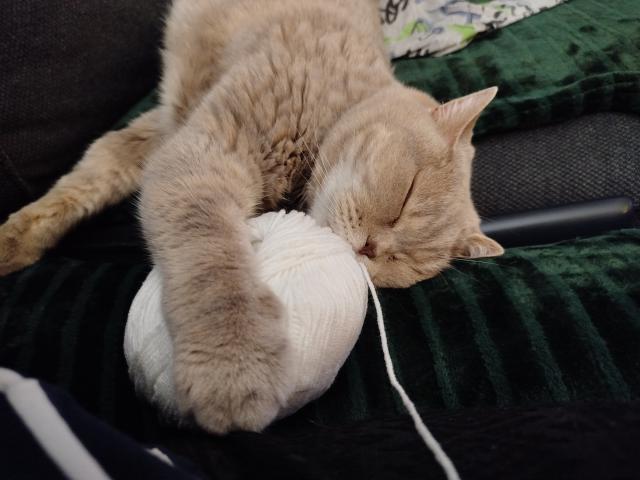 To je d�ina a� jsem si zd��mla😅