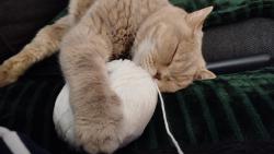 To je dřina až jsem si zdřímla😅