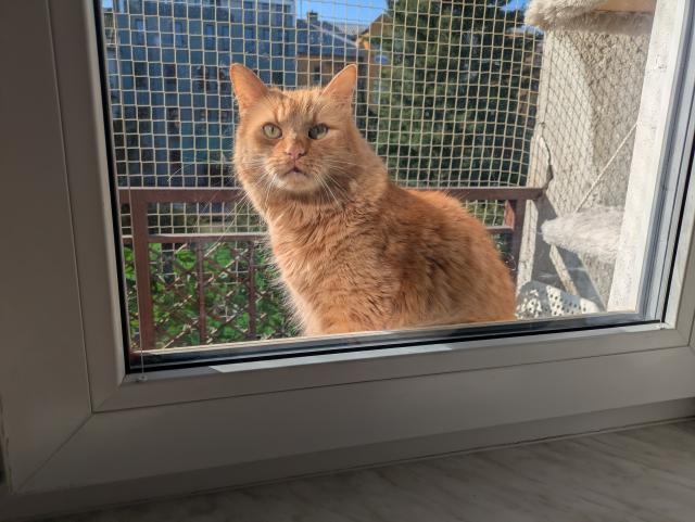 Cassinko, poj� taky na balkon