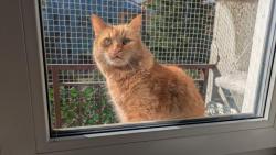 Cassinko, pojď taky na balkon