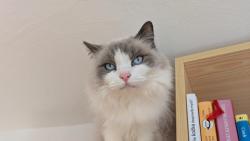 Koukám na paničku, jak umývá okna