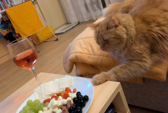 Kdy� mi ned�te, tak si vezmu s�m!