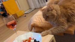 Když mi nedáte, tak si vezmu sám!