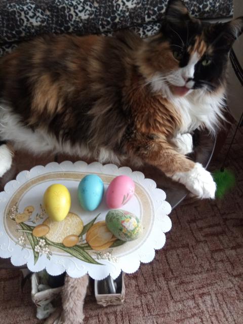 Kr�sn� Velikonoce!