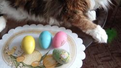 Krásné Velikonoce!