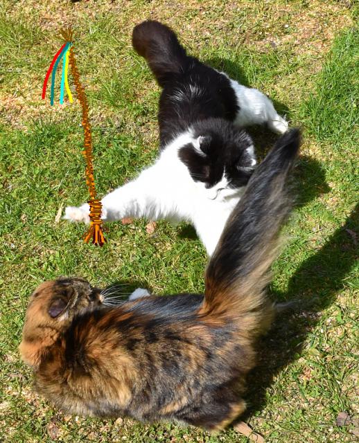 1/3 Koleda, koleda, Zuzi�ko, dej mi jedno vaj��ko.