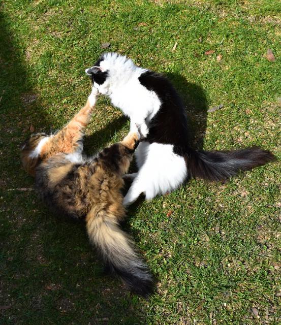 2 Jsem snad n�jak� slepi�ka, kter� ti snese vaj��ka?