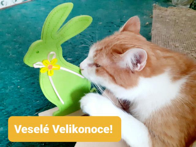 V�em p�ejeme klidn� je�t� velikono�n� ve�er a p�kn� jarn� dny.