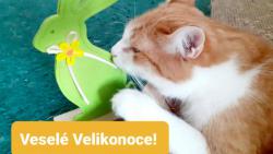 V�em p�ejeme klidn� je�t� velikono�n� ve�er a p�kn� jarn� dny.