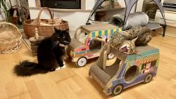 Jupí, můžeme jet na výlet😹