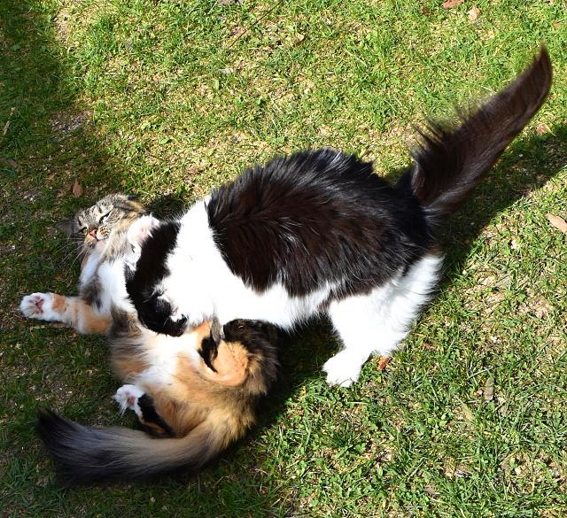 Zuzano, vra� mi tu my�!