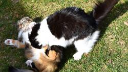 Zuzano, vra� mi tu my�!