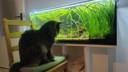 Konečně program, na který se dá koukat!