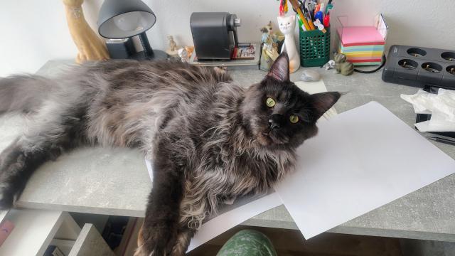 Ty chce� kreslit? To m� sm�lu 😸😸