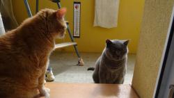 Nefo� m�,  je�t� jsem se neupravil.