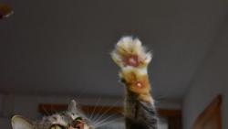 1/4 Renata se ptala, kdo si p�jde zacvi�it. Hned jsem se p�ihl�sila