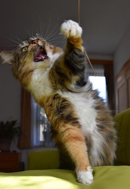 2/4 Za�ala jsem zlehka boxem.