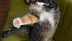 4/4 Sestavu jsem zakon�ila piruetou.