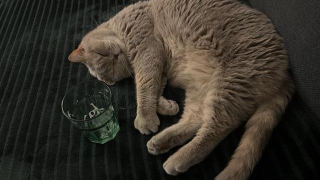 J� to nevypila �kit