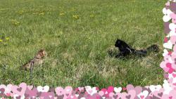 P�ejeme kr�sn� kv�tnov� dny 🌸🌼🌷