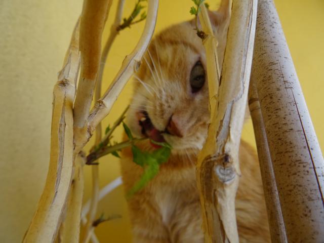 Hned mus�m alespo� jeden oko�tovat.