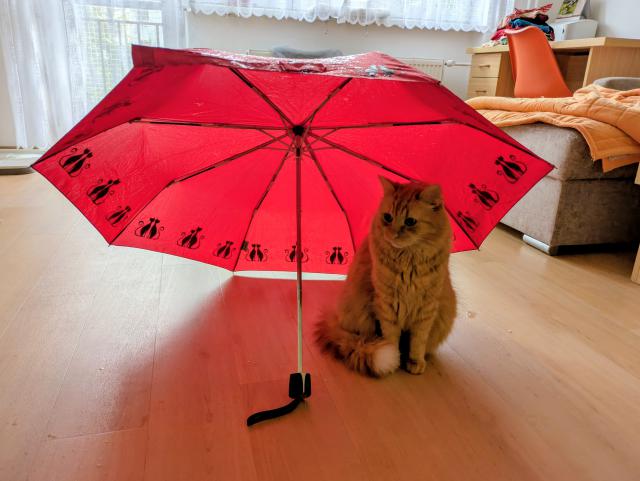 Venku pr��, pani�ka te� de�tn�k su��.