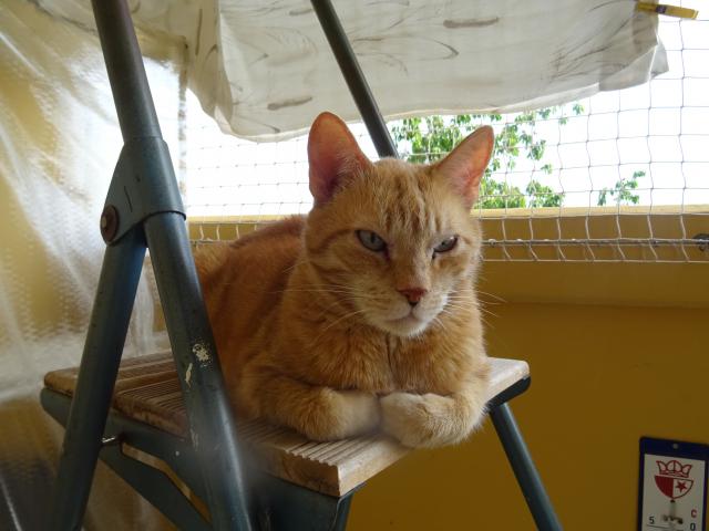 U��v�m si tepl��ko na balkon�.