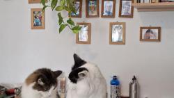 Hany, tuhle krabici si ohlidáme