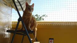 Dopoledne jsem �el na chv�li na balkon. M��u ��ct, �e tam bylo opravdu teplo.