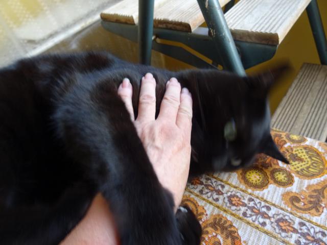 Sem ti ��kal,  nelechtej m�. Tak te� ne�vi a dr�.