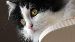 Na�i ��kali, �e si m�m j�t p�ed j�dlem zacvi�it.