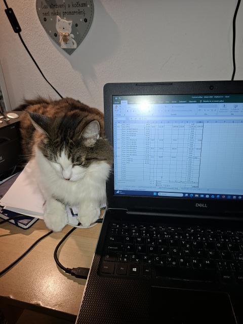 Jo, home office d� zabrat