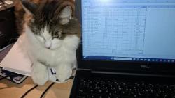 Jo, home office dá zabrat